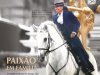 Horse - Fevereiro 2025