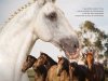 Guia Horse - Abril 2025