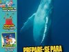 Recreio Ed. 1174 - Maio 2025