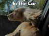 Singing In The Car (2025)