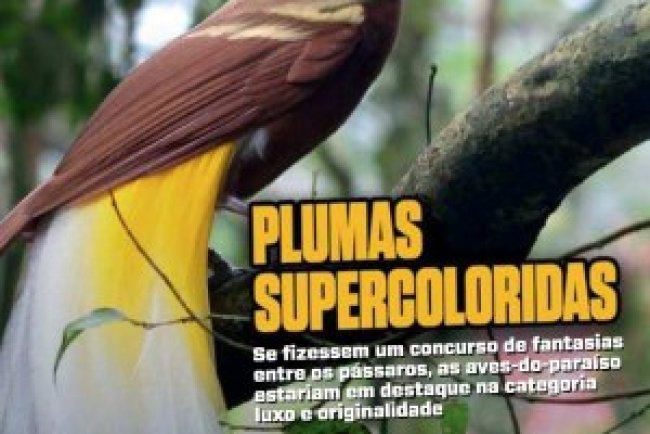 Recreio Ed. 1173 - Maio 2025