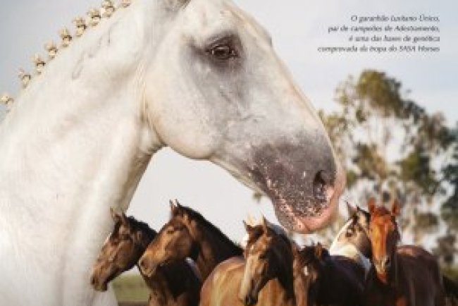 Guia Horse - Abril 2025