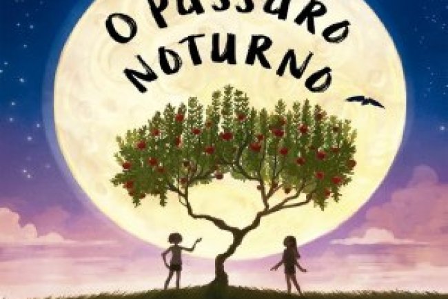 O Pássaro Noturno - Alice Hoffman