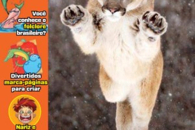 Recreio Ed. 1176 - Maio 2025