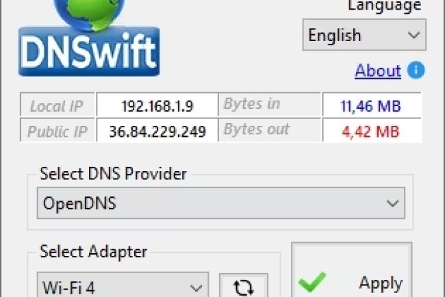 DNSwift v1.1 Build 2025.06.12