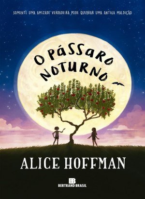 O Pássaro Noturno - Alice Hoffman