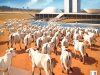 Piauí - Junho 2025