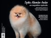 Cães & Cia - Jun/Jul 2025