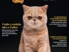 Pulo do Gato - Jun/Jul 2025