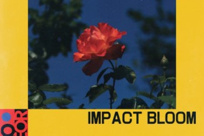 Hello Meteor - Impact Bloom (2025)