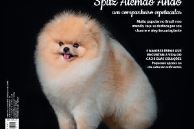 Cães & Cia - Jun/Jul 2025