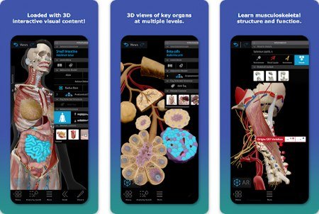 Human Anatomy Atlas 2026 v2026.00.019 [Paid]