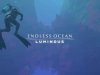 Endless Ocean Luminous