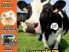 Recreio Ed. 1184 - Julho 2025