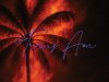 VHS Dreams - TRANS AM - 10th Anniversary Edition (2025)