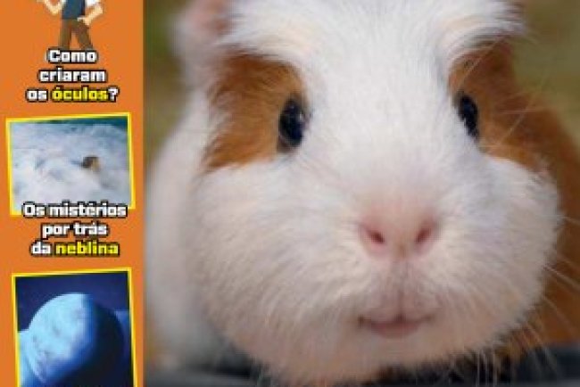 Recreio Ed. 1181 - Junho 2025