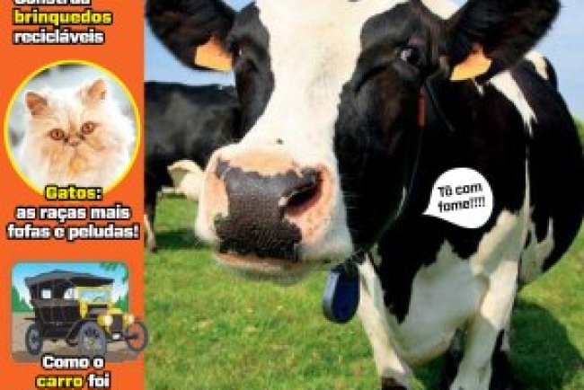 Recreio Ed. 1184 - Julho 2025