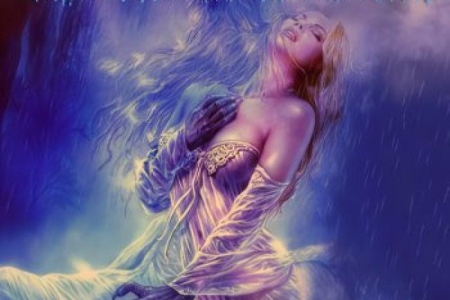 The Metal Museum Vol.7 (2006)