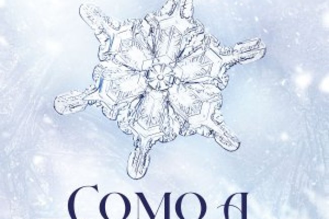 Como a Neve Cai - Erin Doom