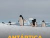Viajar - Especial Antártica