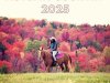 Autumn Country (2025)