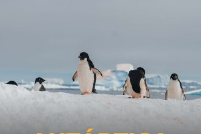 Viajar - Especial Antártica