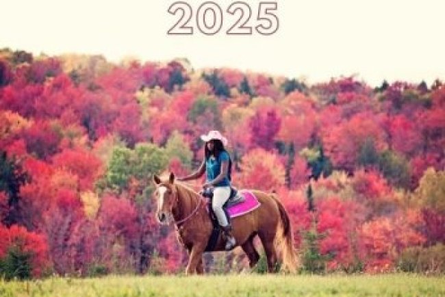 Autumn Country (2025)