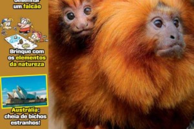 Recreio Ed. 1189 - Agosto 2025