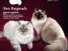 Pulo do Gato - Ago/Set 2025