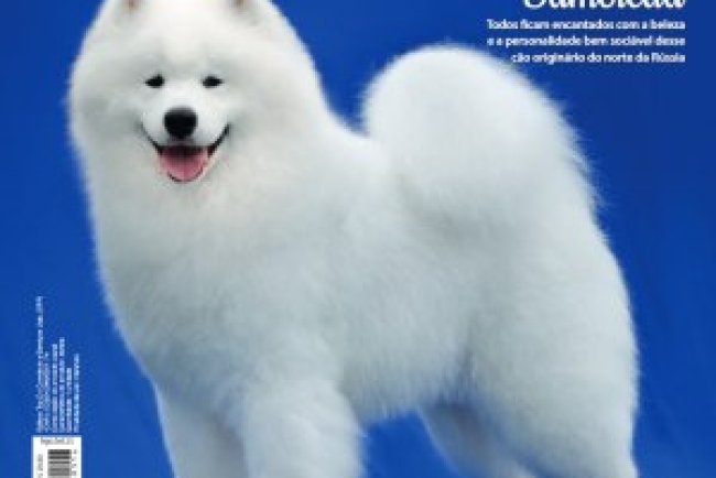 Cães & Cia - Ago/Set 2025