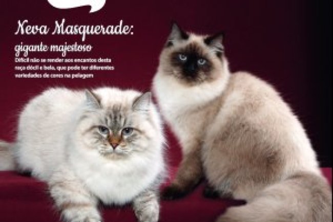 Pulo do Gato - Ago/Set 2025