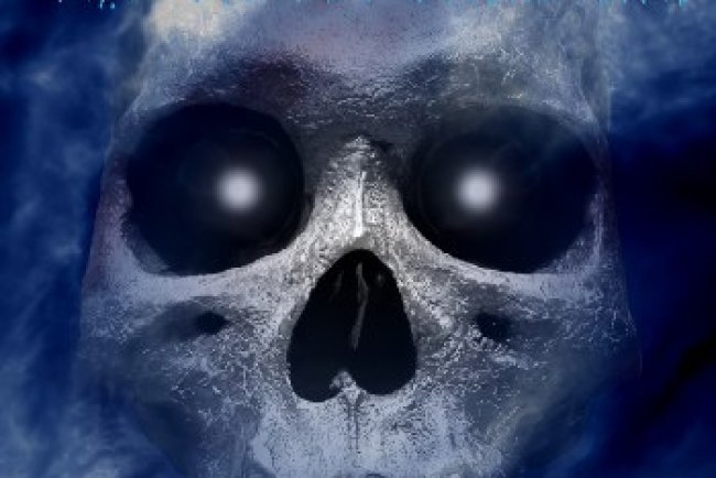 The Metal Museum Vol.20 (2006)