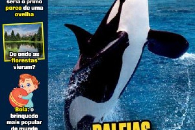 Recreio Ed. 1192 - Setembro 2025