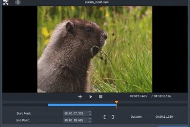 Free Video Cutter Joiner v2025.5