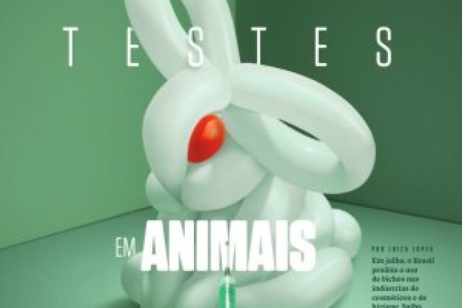 Superinteressante Ed 481 - Novembro 2025