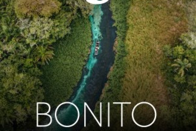 Viagem e Turismo - Novembro 2025