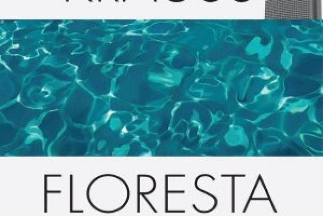 Floresta Escura - Nicole Krauss