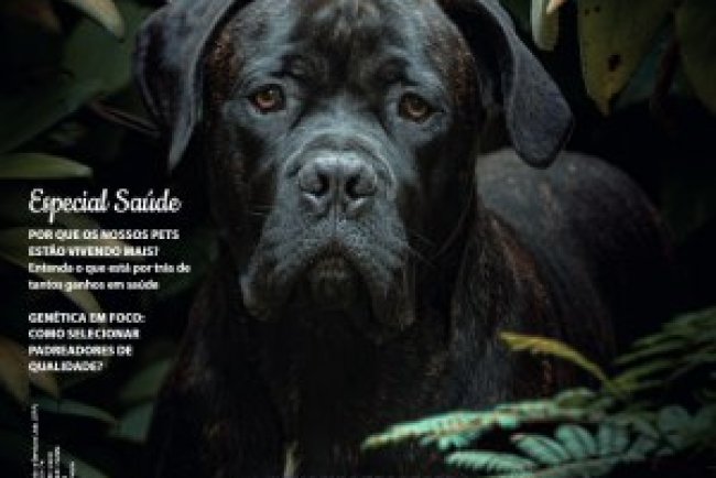 Cães & Cia - Dez 2025/Jan 2026