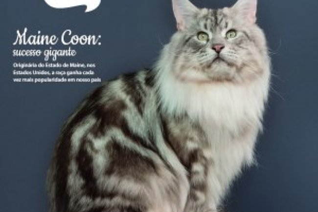 Pulo do Gato - Dez 2025/Jan 2026