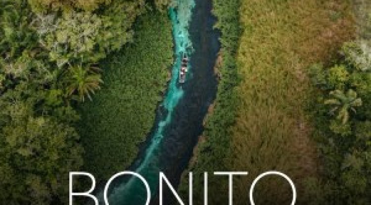 Viagem e Turismo - Novembro 2025 (PDF)