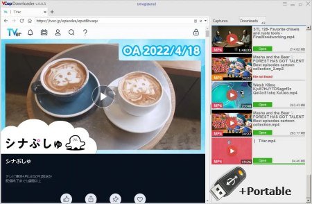 VCap Downloader v0.1.43.6912 + Portable