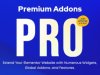Premium Addons Pro for Elementor