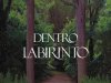 Dentro do Labirinto - Mrs. Henry Wood