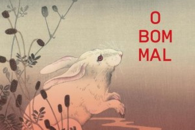 O Bom Mal - Samanta Schweblin