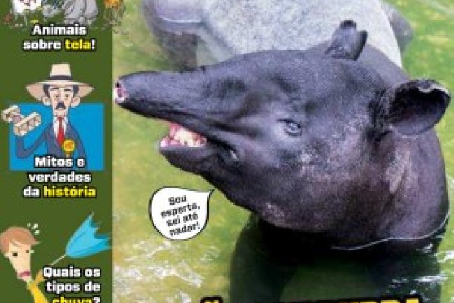 Recreio Ed. 1208 - Janeiro 2026