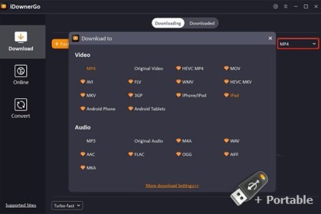 iDownerGo v10.11.1 + Portable