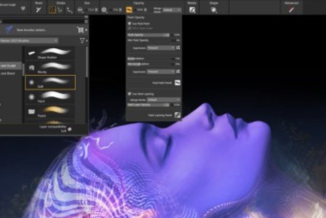 Corel Painter 2023 v23.0.0.255