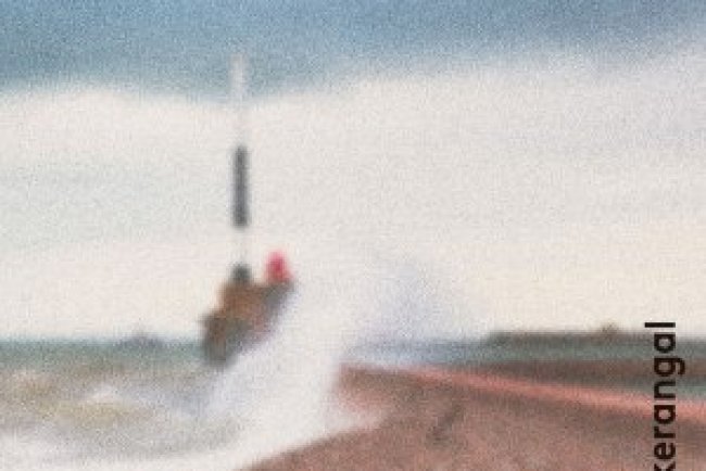 Dia de Ressaca - Maylis de Kerangal