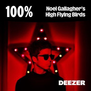 100% - Noel Gallagher's High Flying Birds (2025)