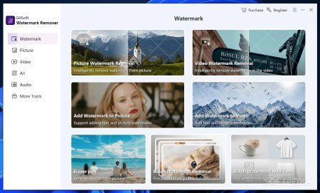 Gilisoft Watermark Remover v8.9.0